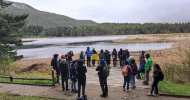 Más de 500 participantes participaron en Semana de Ciencia Abierta en Aysén y Magallanes 