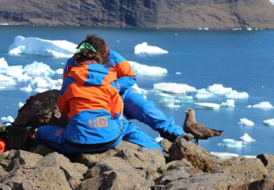 Investigadores chilenos instalaron ‘Observatorios de la Diversidad’ en la Antártida