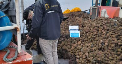Nueva fiscalización detecta a embarcación ilegal de Los Lagos extrayendo erizos en Aysén