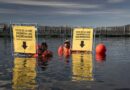 Greenpeace: “Lo que hace Cooke Aquaculture es el lado más oscuro de la industria salmonera”